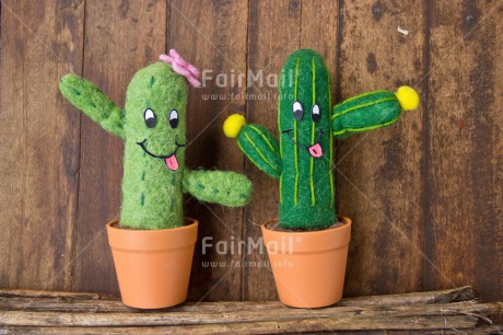 Fair Trade Photo Cactus, Colour image, Couple, Door, Friendship, Funny, Love, Peru, South America, Valentines day, Wood