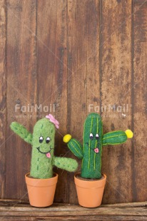 Fair Trade Photo Cactus, Colour image, Couple, Door, Friendship, Funny, Love, Peru, South America, Valentines day, Wood