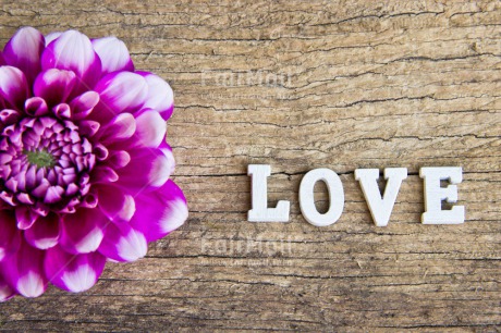 Fair Trade Photo Colour image, Flower, Letters, Love, Peru, Purple, South America, Text, Valentines day, Wood