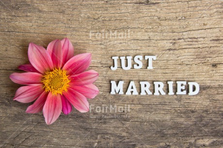 Fair Trade Photo Colour image, Flower, Letters, Love, Peru, Pink, South America, Text, Wood
