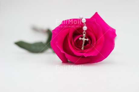 Fair Trade Photo Christianity, Colour image, Communion, Confirmation, Cross, Flower, Horizontal, Peru, Pink, Religion, Rose, South America, White