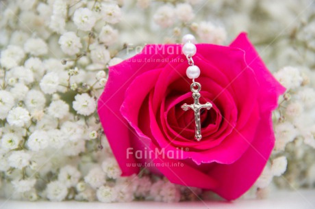 Fair Trade Photo Christianity, Colour image, Communion, Confirmation, Cross, Flower, Flowers, Horizontal, Peru, Pink, Religion, Rose, South America, White