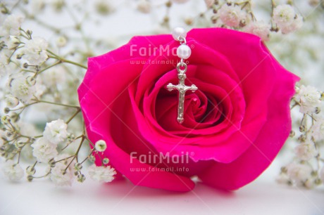 Fair Trade Photo Christianity, Colour image, Communion, Confirmation, Cross, Flower, Flowers, Horizontal, Peru, Pink, Religion, Rose, South America, White