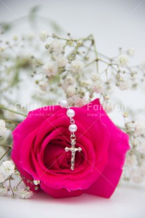 Fair Trade Photo Christianity, Colour image, Communion, Confirmation, Cross, Flower, Flowers, Peru, Pink, Religion, Rose, South America, Vertical, White