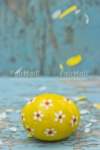 Fair Trade Photo Colour image, Colourful, Easter, Egg, Flower, Food and alimentation, Love, Marriage, Mothers day, New baby, Peru, Petals, South America, Thinking of you, Wedding, Yellow