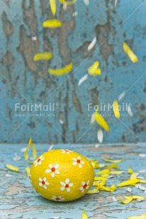 Fair Trade Photo Colour image, Colourful, Easter, Egg, Flower, Food and alimentation, Love, Marriage, Mothers day, New baby, Peru, Petals, South America, Thinking of you, Wedding, Yellow