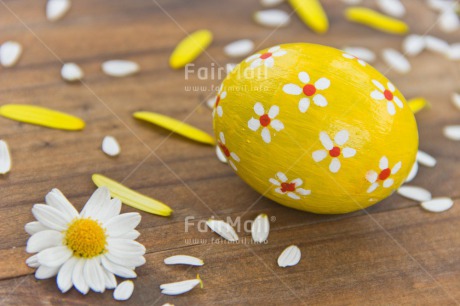 Fair Trade Photo Colour image, Colourful, Daisy, Easter, Egg, Flower, Food and alimentation, Horizontal, Love, Marriage, Mothers day, New baby, Peru, Petals, South America, Thinking of you, Wedding, Yellow