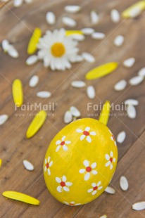 Fair Trade Photo Colour image, Colourful, Daisy, Easter, Egg, Flower, Food and alimentation, Love, Marriage, Mothers day, New baby, Peru, Petals, South America, Thinking of you, Wedding, Yellow