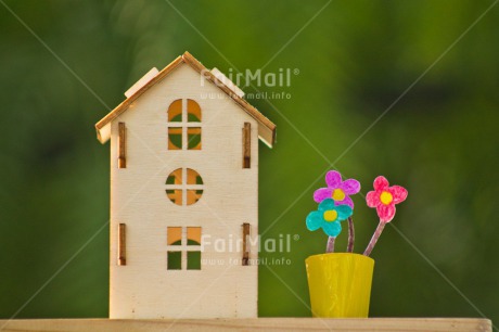 Fair Trade Photo Colour image, Flower, Home, Horizontal, Moving, New home, Peru, Pot, South America, Welcome home