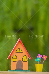 Fair Trade Photo Colour image, Flower, Home, Moving, New home, Peru, Pot, South America, Vertical, Welcome home