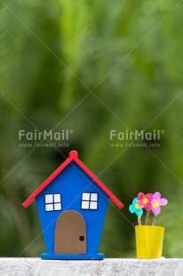 Fair Trade Photo Colour image, Flower, Home, Moving, New home, Peru, Pot, South America, Vertical, Welcome home
