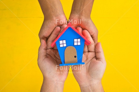 Fair Trade Photo Colour image, Flower, Hand, Home, Horizontal, Moving, New home, Peru, South America, Welcome home, Yellow