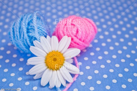 Fair Trade Photo Ball of yarn, Birth, Blue, Boy, Colour image, Daisy, Flower, Girl, Horizontal, New baby, People, Peru, Pink, South America