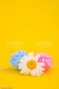 Fair Trade Photo Ball of yarn, Birth, Blue, Boy, Colour image, Daisy, Flower, Girl, New baby, People, Peru, Pink, South America, Vertical, Yellow