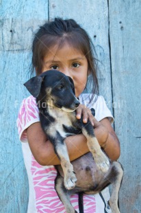 Fair Trade Photo Animals, Blue, Child, Colour image, Dog, People, Peru, Puppy, South America, Tarapoto travel, Vertical