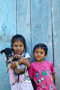 Fair Trade Photo Animals, Blue, Child, Colour image, Dog, People, Peru, Puppy, South America, Tarapoto travel, Vertical