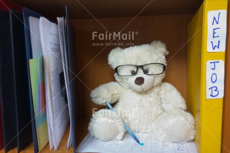 Fair Trade Photo Colour image, Exams, Glasses, Graduation, Horizontal, New Job, Peru, South America, Teddybear