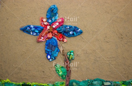Fair Trade Photo Artistique, Colour image, Flower, Garbage, Peru, Recycle, South America