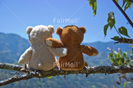 Fair Trade Photo Activity, Colour image, Cute, Day, Friendship, Hugging, Love, Outdoor, Peru, Scenic, South America, Teddybear, Together, Tree