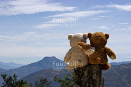 Fair Trade Photo Activity, Colour image, Cute, Day, Friendship, Hugging, Love, Mountain, Outdoor, Peru, Rural, South America, Teddybear, Together, Tree