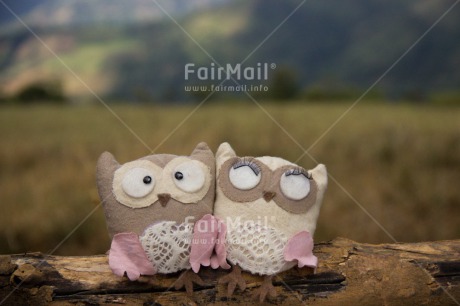 Fair Trade Photo Animals, Bird, Colour image, Friendship, Funny, Owl, Peru, South America, Together