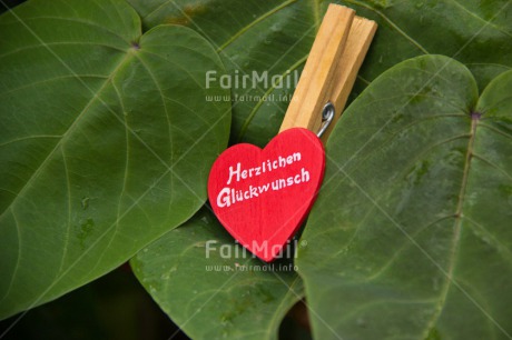 Fair Trade Photo Birthday, Closeup, Colour image, Green, Heart, Leaf, Letter, Peru, Red, South America