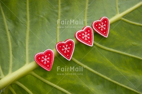 Fair Trade Photo Christmas, Colour image, Green, Heart, Leaf, Love, Peru, Red, South America