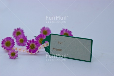 Fair Trade Photo Closeup, Colour image, Flower, Horizontal, Mothers day, Peru, South America