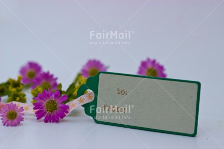 Fair Trade Photo Closeup, Colour image, Flower, Horizontal, Mothers day, Peru, South America
