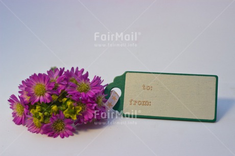 Fair Trade Photo Closeup, Colour image, Flower, Horizontal, Mothers day, Peru, South America
