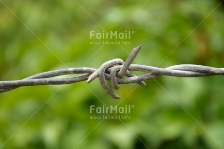 Fair Trade Photo Barbwire, Border, Closeup, Colour image, Freedom, Horizontal, Peru, Safety, Shooting style, South America