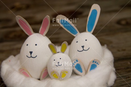 Fair Trade Photo Animals, Colour image, Easter, Horizontal, Peru, Rabbit, Seasons, Smile, South America, Spring, Together