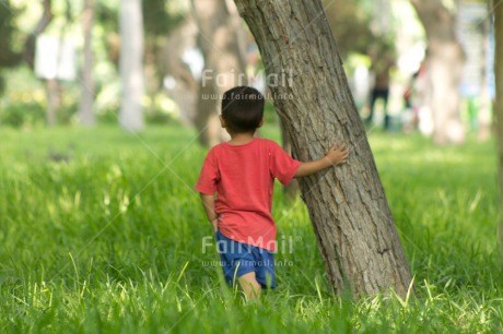 Fair Trade Photo Colour image, Day, Emotions, Forest, Freedom, Grass, Green, Horizontal, Loneliness, One boy, Outdoor, People, Peru, Red, South America, Travel, Tree