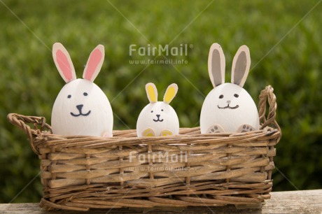 Fair Trade Photo Animals, Colour image, Easter, Egg, Horizontal, Peru, Rabbit, Seasons, Smile, South America, Spring, Together