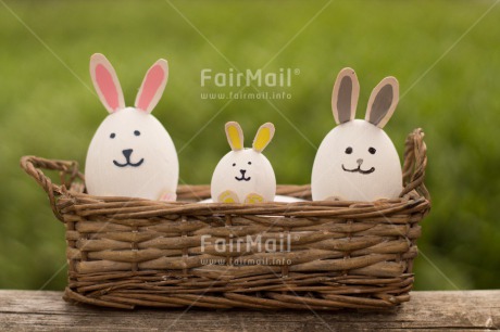 Fair Trade Photo Animals, Colour image, Easter, Egg, Horizontal, Peru, Rabbit, Seasons, Smile, South America, Spring, Together