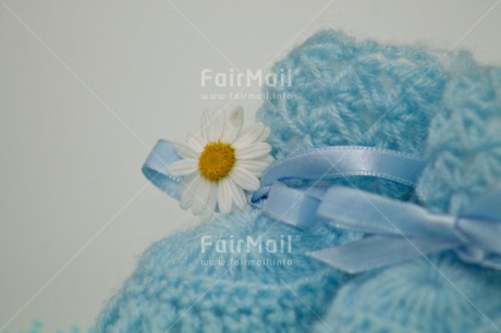 Fair Trade Photo Birth, Blue, Boy, Closeup, Colour image, Daisy, Flower, Horizontal, New baby, People, Peru, Shooting style, South America