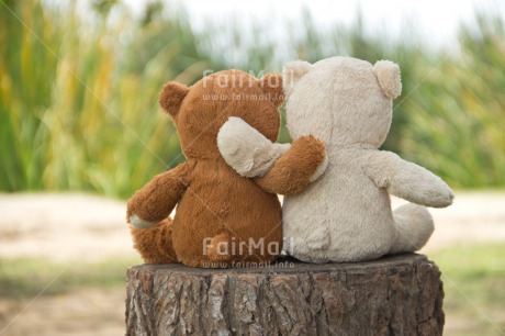 Fair Trade Photo Colour image, Cute, Friendship, Horizontal, Love, Peru, South America, Teddybear