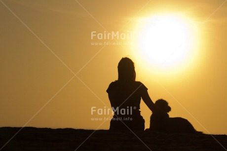 Fair Trade Photo Animals, Care, Colour image, Dog, Friendship, Holiday, Horizontal, Love, One girl, People, Peru, Shooting style, Silhouette, South America, Summer, Sunset, Travel