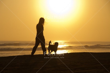 Fair Trade Photo Animals, Care, Colour image, Dog, Friendship, Holiday, Horizontal, Love, One girl, People, Peru, Shooting style, Silhouette, South America, Summer, Sunset, Travel