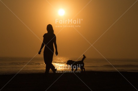 Fair Trade Photo Animals, Care, Colour image, Dog, Friendship, Holiday, Horizontal, Love, One girl, People, Peru, Shooting style, Silhouette, South America, Summer, Sunset, Travel