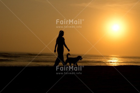 Fair Trade Photo Animals, Care, Colour image, Dog, Friendship, Holiday, Horizontal, Love, One girl, People, Peru, Shooting style, Silhouette, South America, Summer, Sunset, Travel