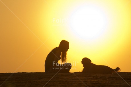 Fair Trade Photo Animals, Care, Colour image, Dog, Friendship, Holiday, Horizontal, Love, One girl, People, Peru, Shooting style, Silhouette, South America, Summer, Sunset, Travel