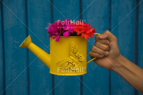 Fair Trade Photo Butterfly, Colour image, Flower, Horizontal, Mothers day, Peru, South America, Thank you, Watering can