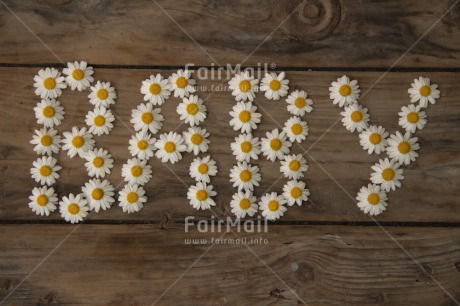 Fair Trade Photo Birth, Colour image, Daisy, Flower, Horizontal, New baby, Peru, South America