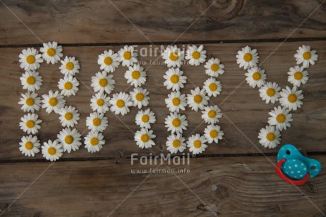 Fair Trade Photo Birth, Colour image, Daisy, Flower, Horizontal, New baby, Peru, South America