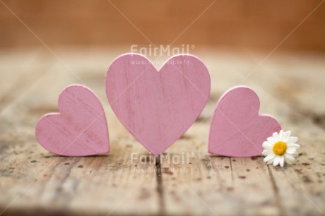 Fair Trade Photo Colour image, Daisy, Fathers day, Flower, Heart, Horizontal, Love, Mothers day, Peru, Pink, South America, Three, Valentines day, White, Wood