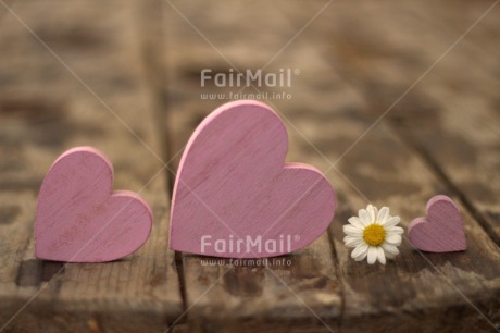 Fair Trade Photo Colour image, Daisy, Fathers day, Flower, Heart, Horizontal, Love, Mothers day, Peru, Pink, South America, Three, Valentines day, White, Wood