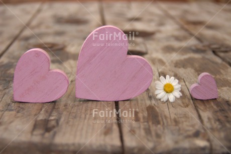 Fair Trade Photo Colour image, Daisy, Fathers day, Flower, Heart, Horizontal, Love, Mothers day, Peru, Pink, South America, Three, Valentines day, White, Wood