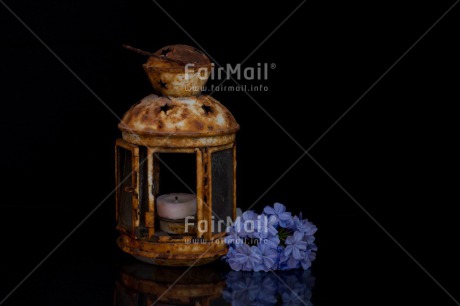 Fair Trade Photo Black, Candle, Colour image, Condolence-Sympathy, Flower, Horizontal, Lantern, Light, Night, Peru, Purple, Silence, South America