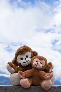 Fair Trade Photo Animals, Blue, Clouds, Colour image, Emotions, Fathers day, Friendship, Happiness, Love, Monkey, Mothers day, New baby, Peru, Sky, South America